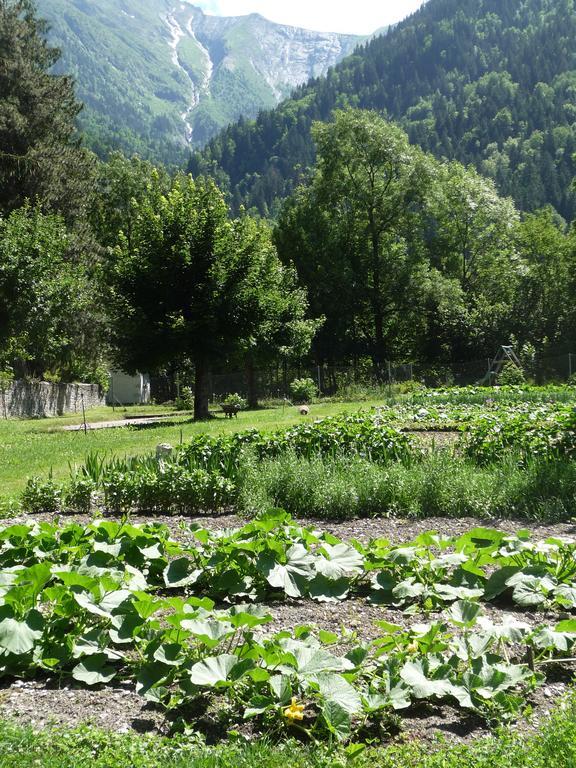 Chateau De La Muzelle Vénosc Екстериор снимка